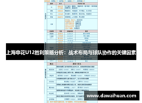 上海申花U12胜利策略分析：战术布局与球队协作的关键因素