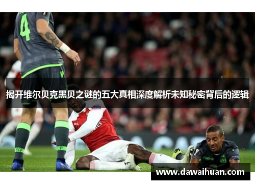 揭开维尔贝克黑贝之谜的五大真相深度解析未知秘密背后的逻辑