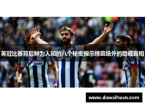 英冠比赛背后鲜为人知的八个秘密揭示绿茵场外的隐藏真相